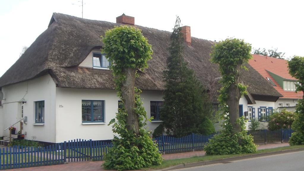 Residenz Lausitz Leilighet Graal-Mueritz Eksteriør bilde